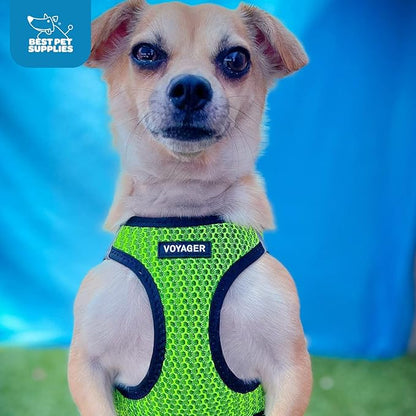 Voyager Step-in Air Dog Harness - All Weather Mesh Step in Vest Harness for Small and Medium Dogs and Cats by Best Pet Supplies - Harness (Lime Green 2-Tone), L (Chest: 18-20.5")