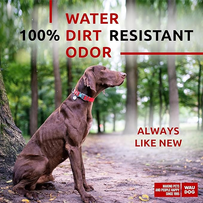 WAUDOG Waterproof Dog Collar
