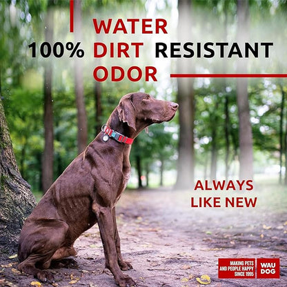 WAUDOG Waterproof Dog Collar