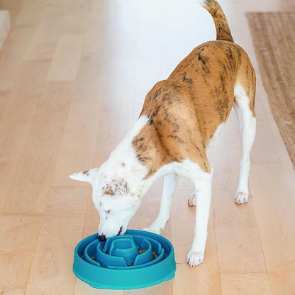 Outward Hound Fun Feeder Slo Bowl, Slow Feeder Dog Bowl, Large/Regular, Turquoise