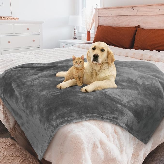 MACEVIA Waterproof Dog Blanket (60x80 Inch,