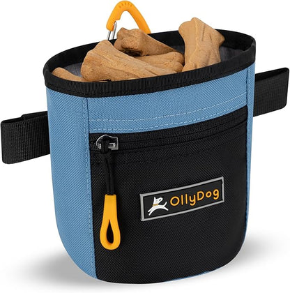 OllyDog Goodie Treat Bag, Dog Treat Pouch, Waist Belt Clip for Hands-Free Training, Magnetic Closure, Dog Training and Behavior Aids, Three Ways to Wear (Pacific Coast)