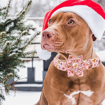 Elegant little tail Dog Collar with Flower