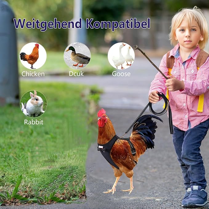 Chicken Harness Hen Size with 6ft Matching Leash – Adjustable, Resilient, Comfortable, Breathable, Large, Suitable for Chicken Weighing About 6.6 Pound,Black