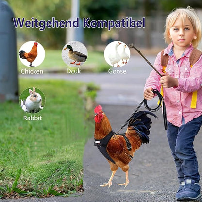 Chicken Harness Hen Size with 6ft Matching Leash – Adjustable, Resilient, Comfortable, Breathable, Large, Suitable for Chicken Weighing About 6.6 Pound,Black