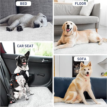 Kritter Planet Grey Large Dog Blanket 50x60 inches