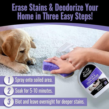 Emmy's Best EBPP Odor & Stain Eraser