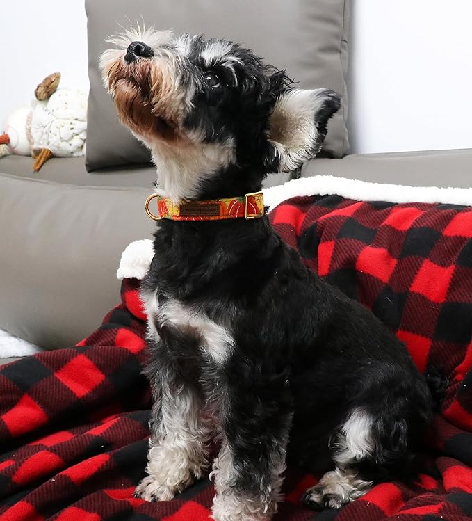 Unique style paws Dog Collar Metal Buckle Collar