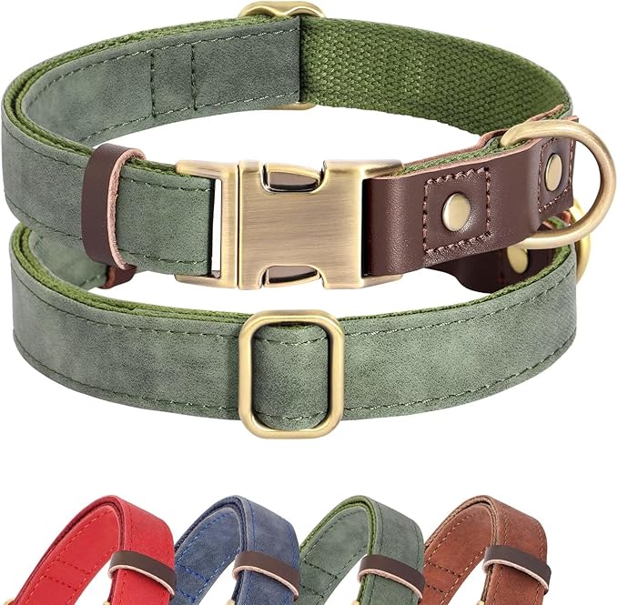 Didog Soft Padded Leather Dog Collars for Small Dogs
