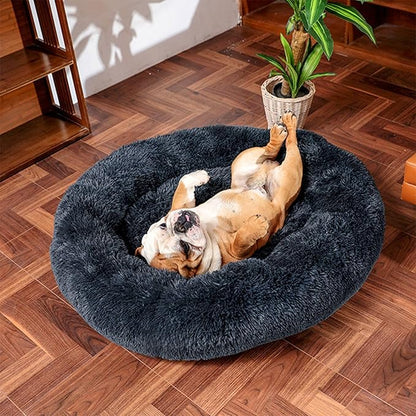 Cat Beds for Indoor Cats (20", Dark