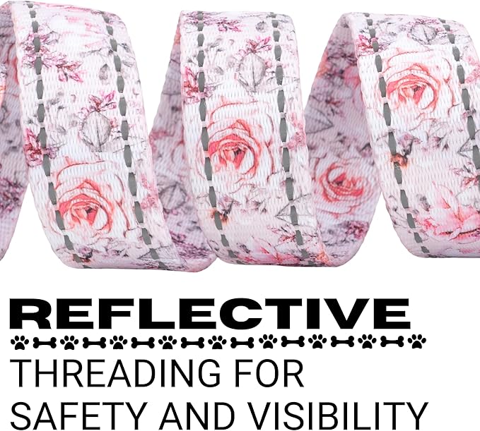 EcoBark Dog Leash 4 FT 5 FT 6 FT