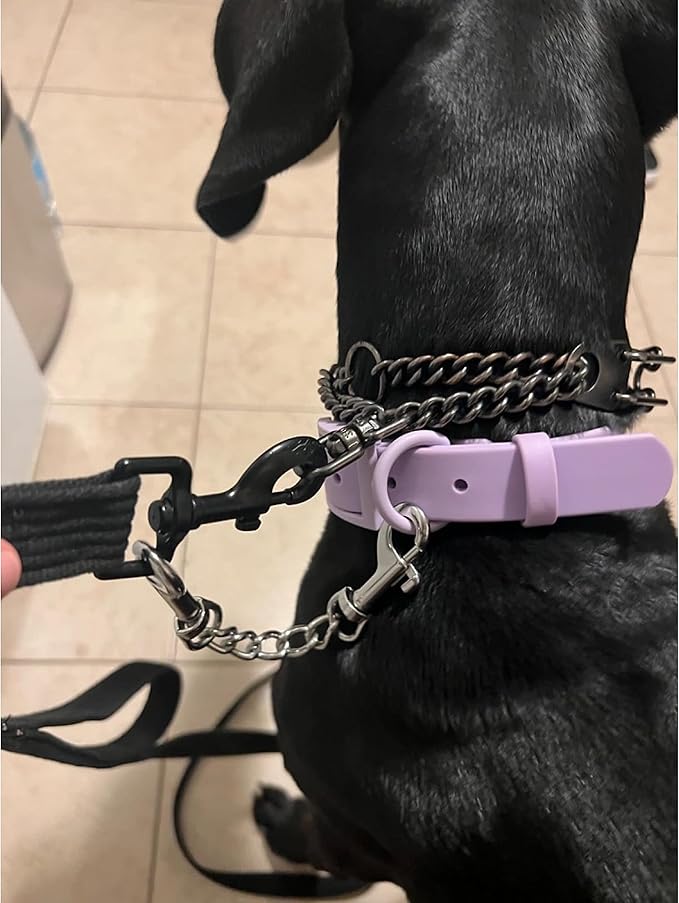 MOZETO Dog Collar Safety Clip (9 inches)