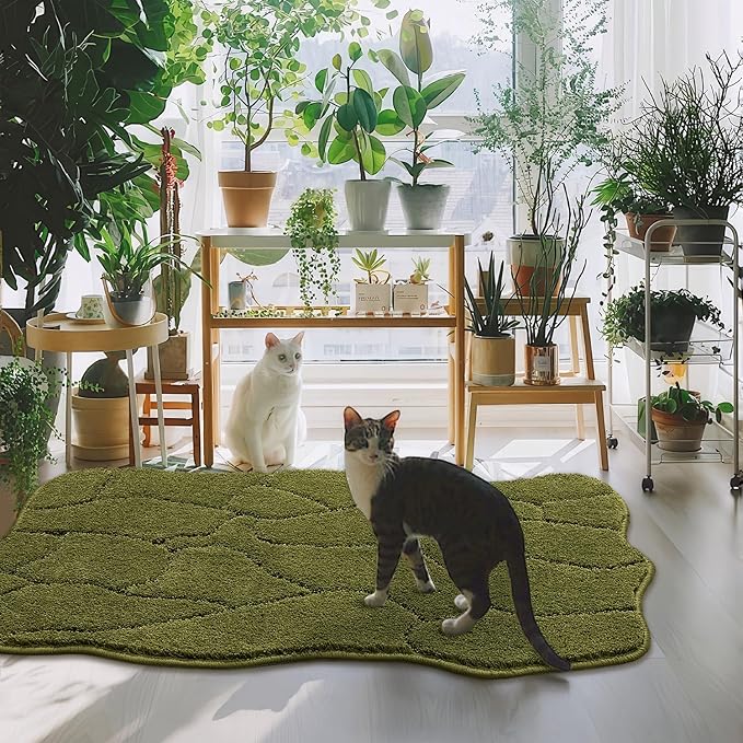 Dog Mat for Muddy Paws 24x36 Inches