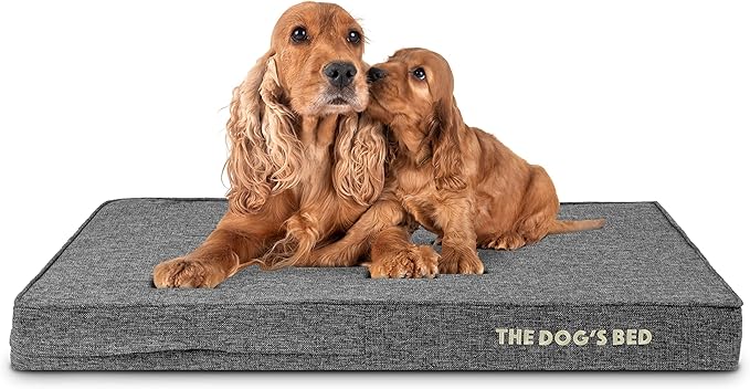 The Dog’s Bed Orthopedic Memory Foam Dog Bed 40x25, Pain