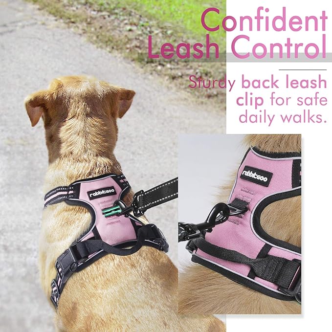 rabbitgoo Dog Harness, No-Pull Pet Harness with 2 Leash Clips, Adjustable Soft Padded Dog Vest, Reflective No-Choke Pet Oxford Vest with Easy Control Handle for Small Dogs, Pink, S