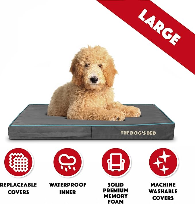The Dog’s Bed Orthopedic Memory Foam Dog Bed 40x25x4, Pain