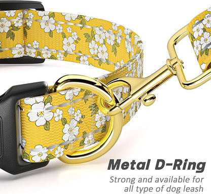 Reflective Dog Collar