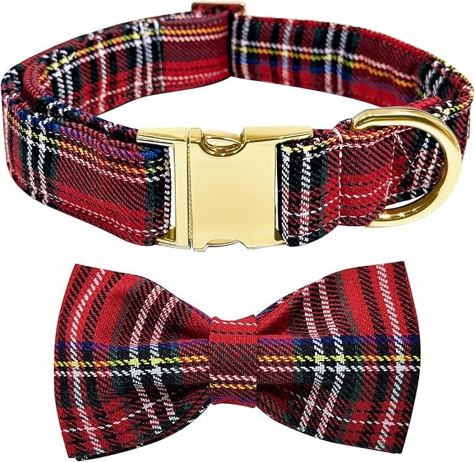 Christmas Day Dog Collar with Bow Red Green
