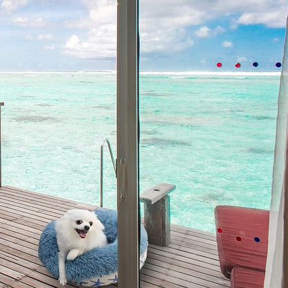 Puppy Beds for Small Dogs Washable 19 Inches