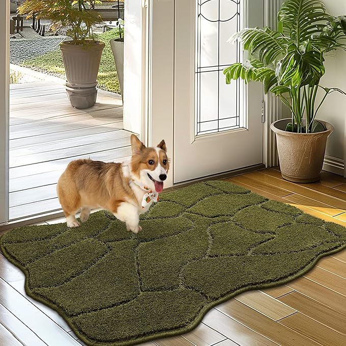 Dog Mat for Muddy Paws 32x20 Inches