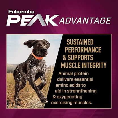 Eukanuba Premium Performance 30/20 Sport Dry Dog Food, 14 lb