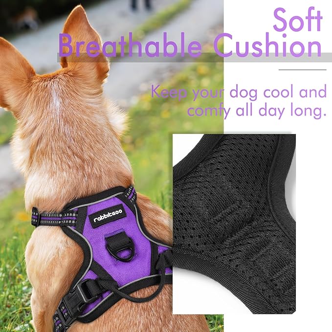 rabbitgoo Dog Harness 2 Leash