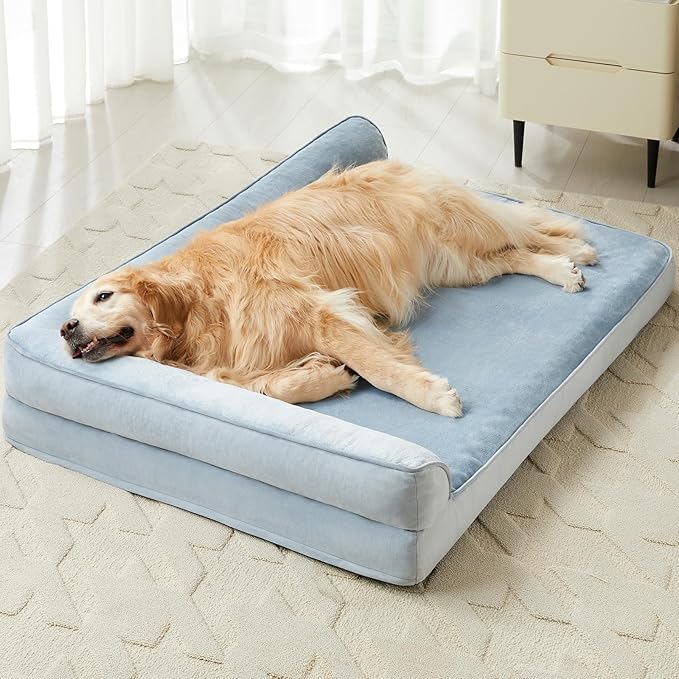 Orthopedic Dog Beds for Extra Large Dogs