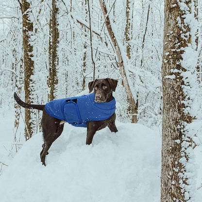 Queenmore Small Dog Sweater