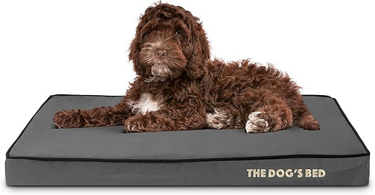 The Dog’s Bed Orthopedic Memory Foam Dog Bed 34x22, Pain
