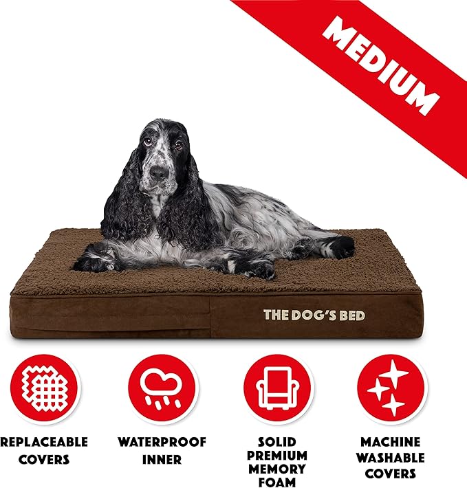 The Dog’s Bed Orthopedic Memory Foam Dog Bed 34x22, Pain