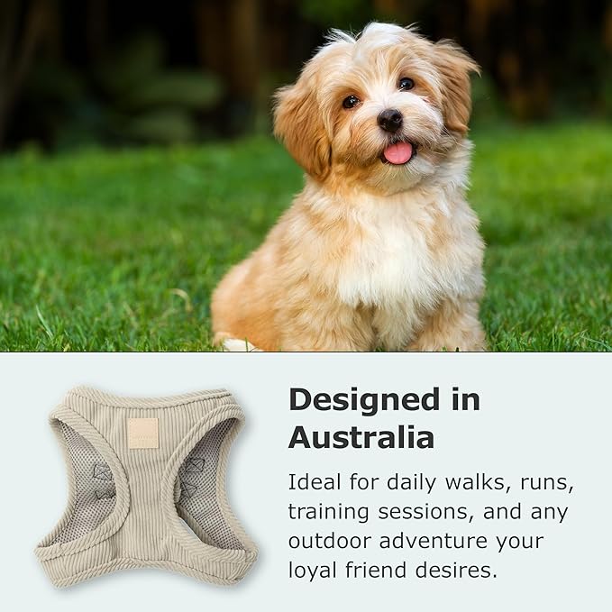 FuzzYard Life Corduroy Step in Dog Harness