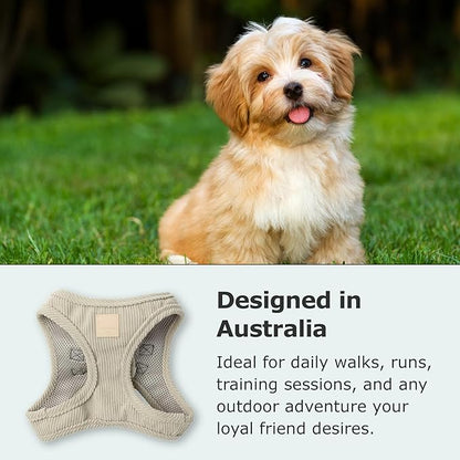 FuzzYard Life Corduroy Step in Dog Harness
