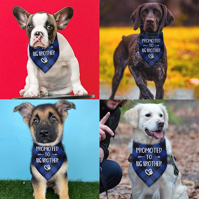 Promoted to Big Brother Dog Bandana Gender Reveal