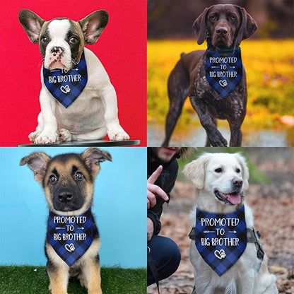 Promoted to Big Brother Dog Bandana Gender Reveal