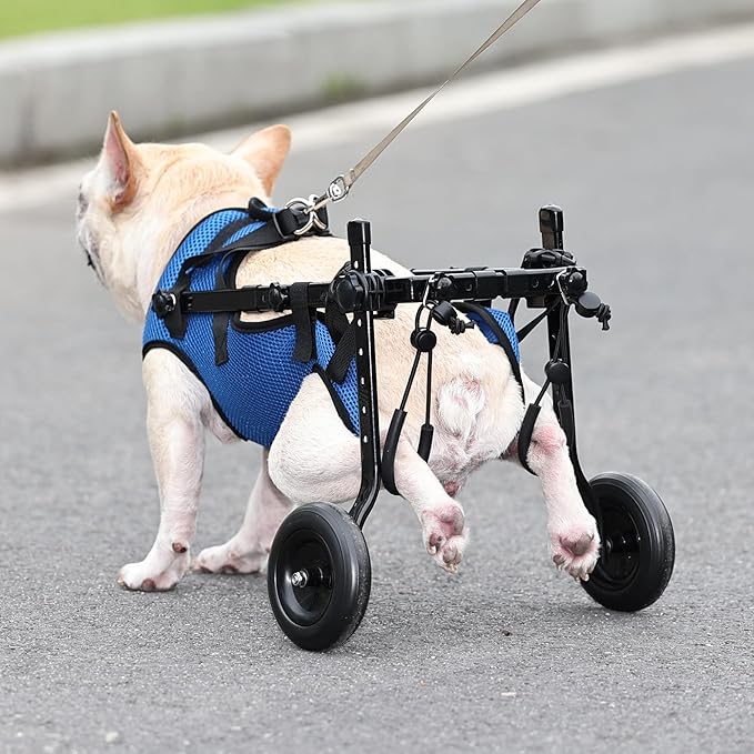 Dog Wheelchair Van. Dog Wheelchair Trolley for rears