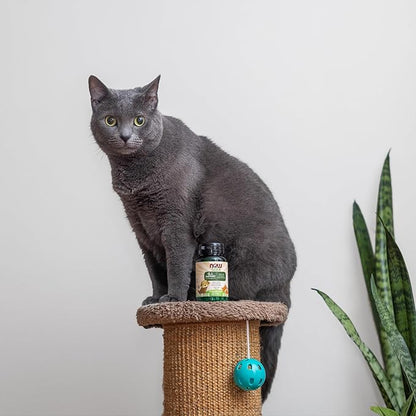 NOW Foods Pet Health 90 Chewable