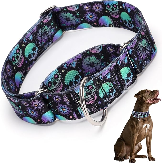 Martingale Collar 1.5 Inches Wide Dog Collar