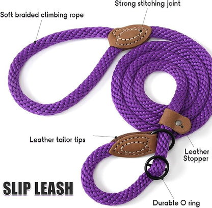 Mile High Life Slip Leads for Dogs 5 Feet