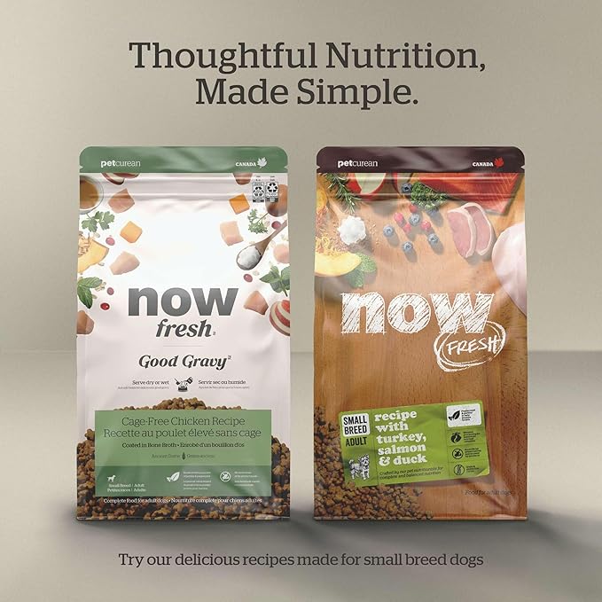 Now Fresh Grain-Free Dry Dog Food 3.5 lb