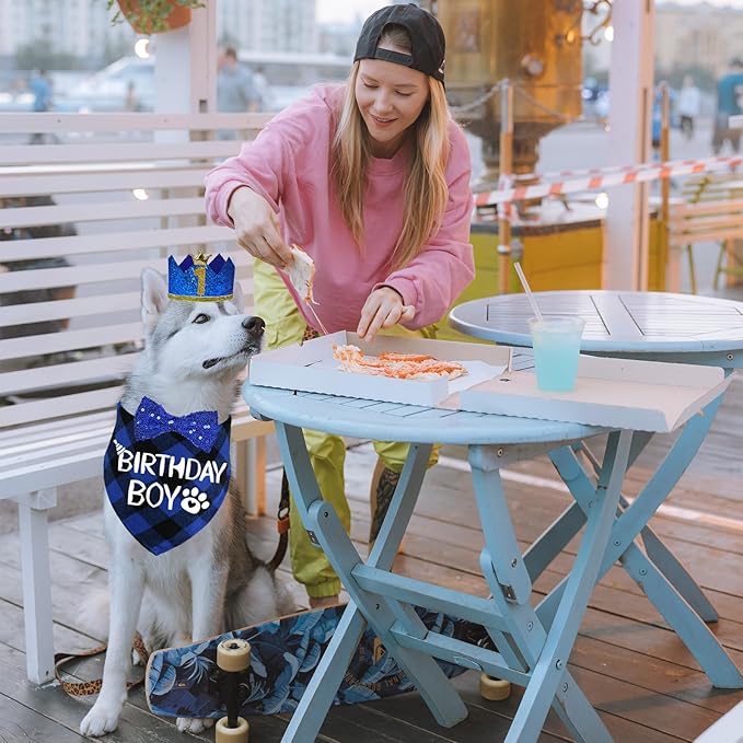 STMK Dog Birthday Party Supplies