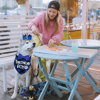 STMK Dog Birthday Party Supplies