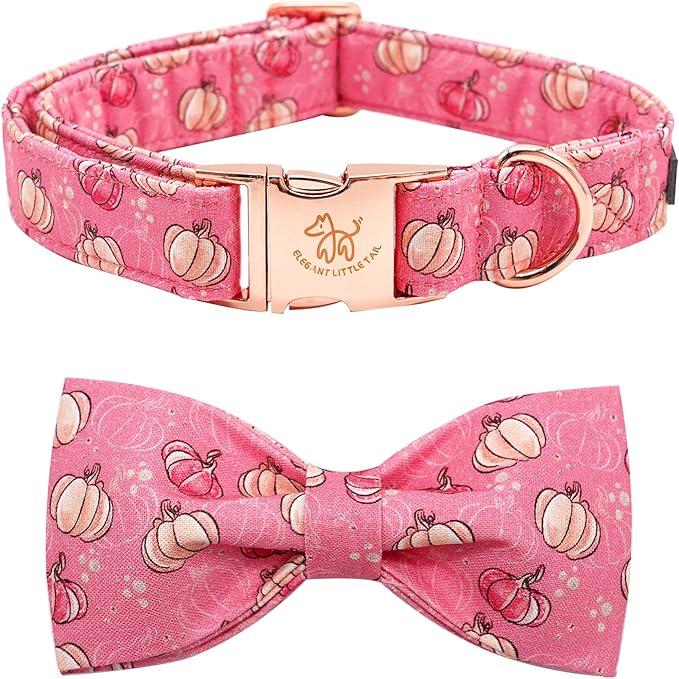 Elegant little tail Dog Collar with Bow
