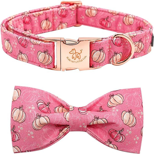 Elegant little tail Dog Collar with Bow