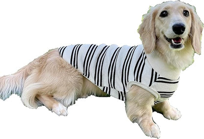 Dachshund Clothes for Dogs Mini and Adults T Shirts (L