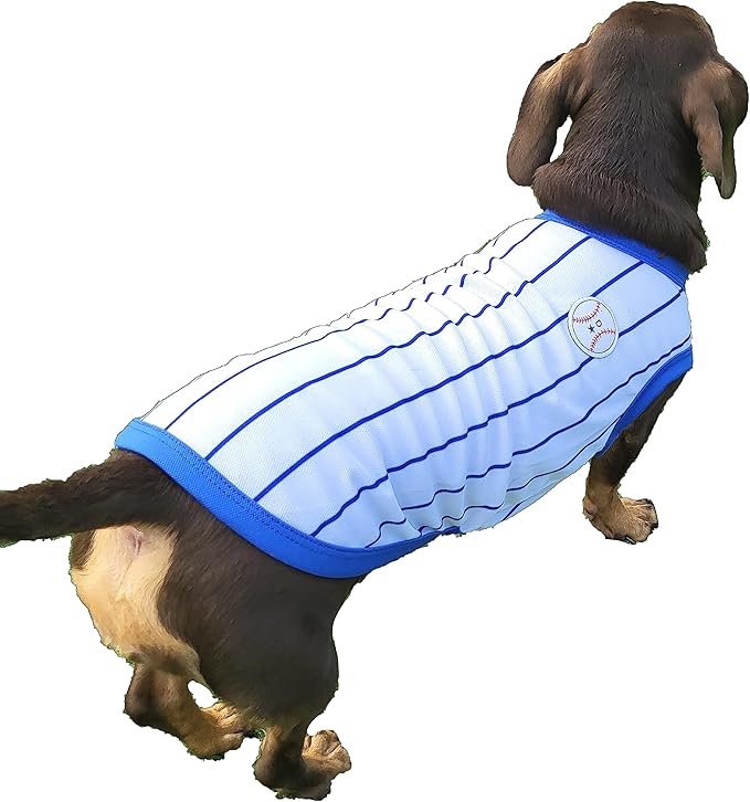 Dachshund Clothes for Dogs Baseball Mini and Adults T Shirts (S