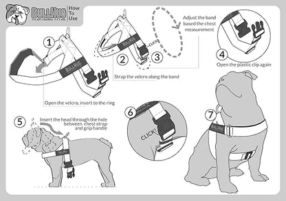 BULLHUG Harness – Made for Larger Chested Dogs Like English Bulldogs
