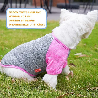 KYEESE 2 Pack Dog Shirts Quick Dry Raglan