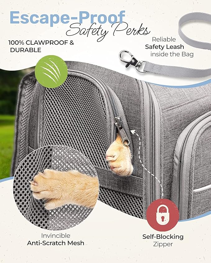 Expandable Cat Backpack Carrier - Breathable BT-01 Cat Carrier Backpacks for Comfy Long Walks - from Kitty to Medium-Size cat up to 15lbs