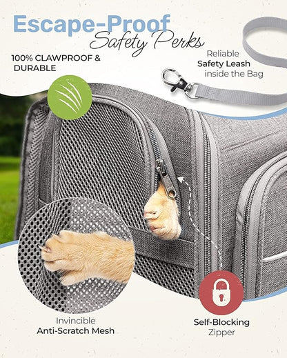 Expandable Cat Backpack Carrier - Breathable BT-01 Cat Carrier Backpacks for Comfy Long Walks - from Kitty to Medium-Size cat up to 15lbs