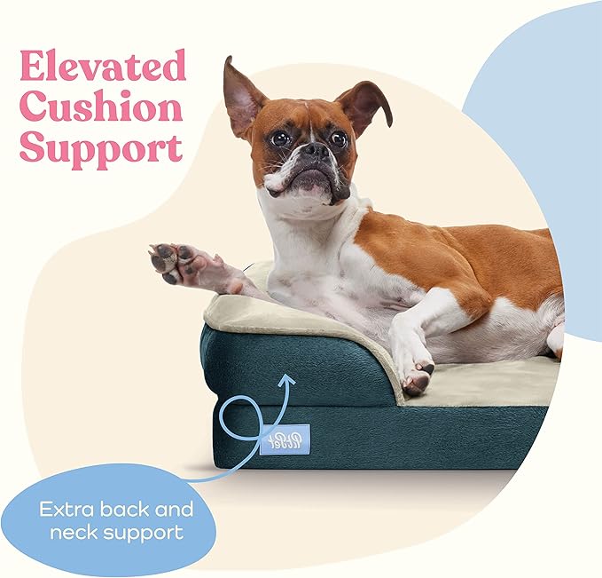 Orthopedic Sofa Dog Bed
